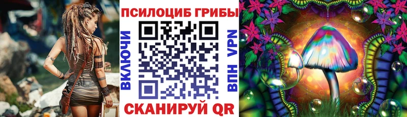 Псилоцибиновые грибы мухоморы  цена наркотик  Пудож 